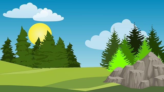 Hình ảnh minh họa ý nghĩa của từ conifer