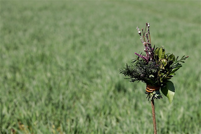 Hình ảnh minh họa ý nghĩa của từ consecrated