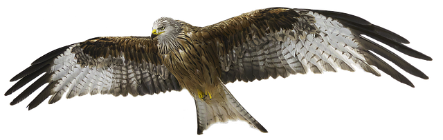 Hình ảnh minh họa ý nghĩa của từ consecrating