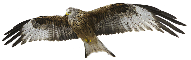 Hình ảnh minh họa ý nghĩa của từ consecration