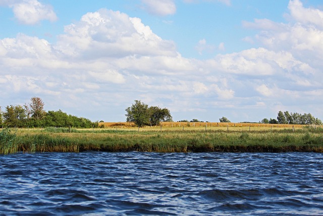 Hình ảnh minh họa ý nghĩa của từ conservation law