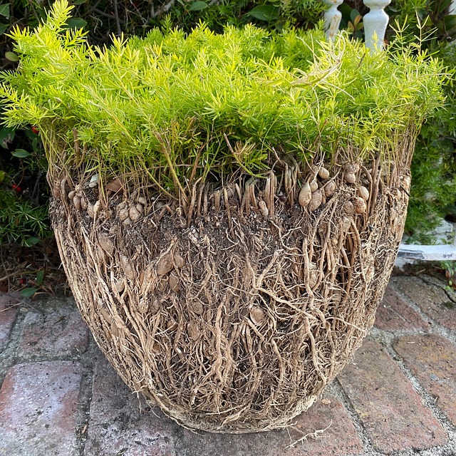 Hình ảnh minh họa ý nghĩa của từ constraining