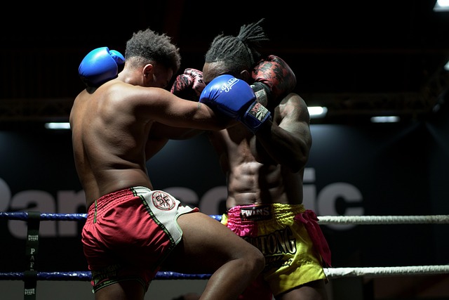 contact sport