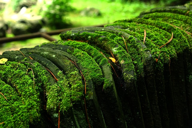 Hình ảnh minh họa ý nghĩa của từ continuity