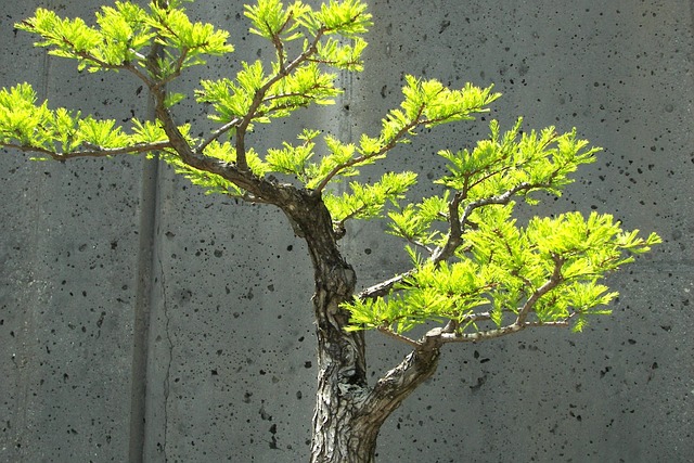 controlled growth