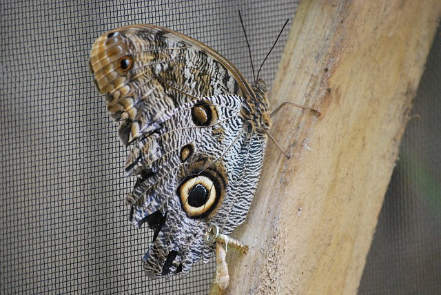 Hình ảnh minh họa ý nghĩa của từ conversion