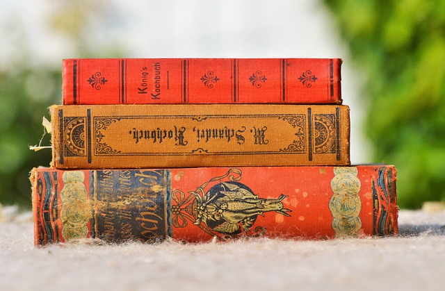 Hình ảnh minh họa ý nghĩa của từ cooking the books