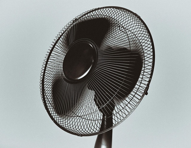 cool breeze