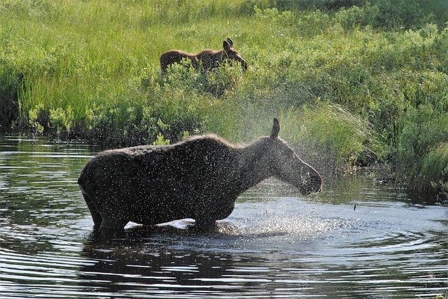cool off