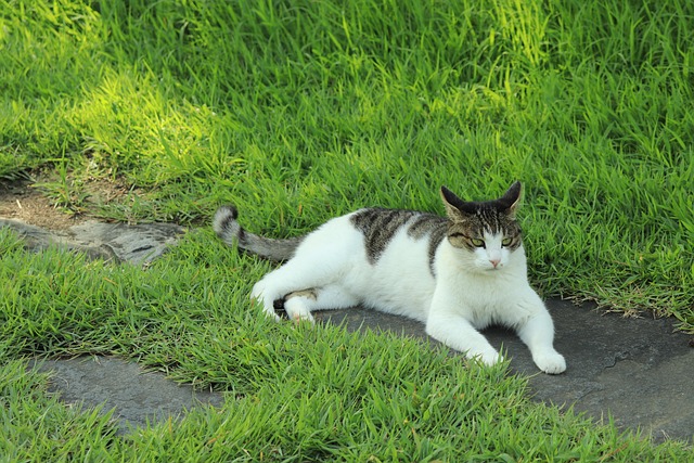 Hình ảnh minh họa ý nghĩa của từ coquetry