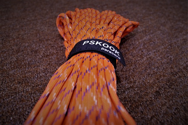 Hình ảnh minh họa ý nghĩa của từ cords