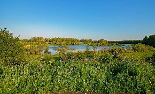 Hình ảnh minh họa ý nghĩa của từ core area