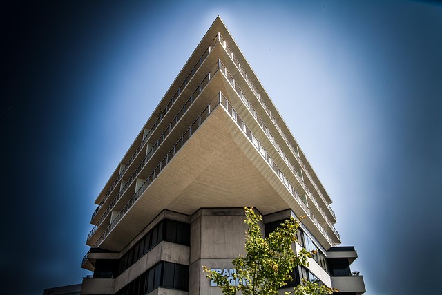 Hình ảnh minh họa ý nghĩa của từ cornered