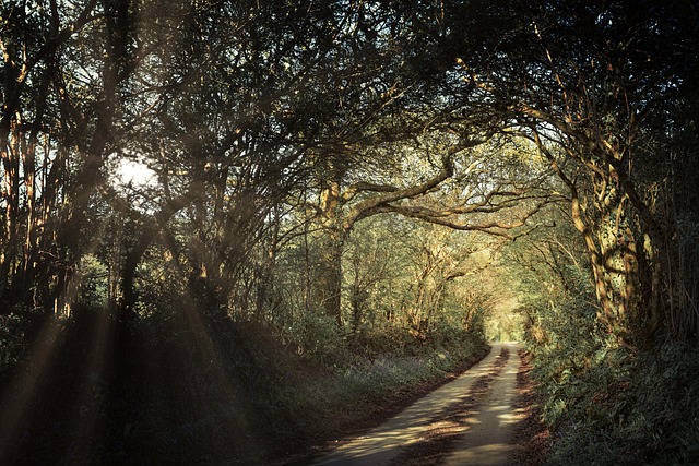 cornwall