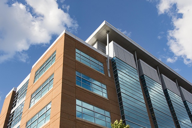 Hình ảnh minh họa ý nghĩa của từ coroner