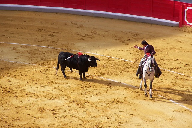 corrida