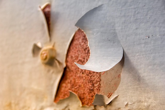 Hình ảnh minh họa ý nghĩa của từ corrosive wear