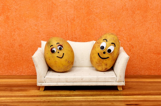 Couch potato