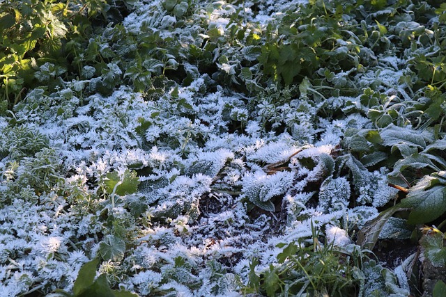 Hình ảnh minh họa ý nghĩa của từ could