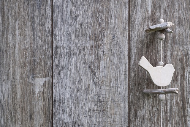 Hình ảnh minh họa ý nghĩa của từ coupon