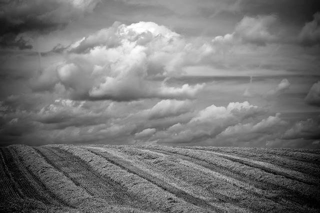 covered soil