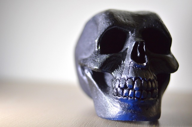 Hình ảnh minh họa ý nghĩa của từ cranium