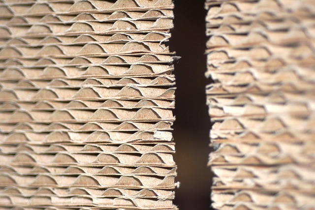 Hình ảnh minh họa ý nghĩa của từ cranny