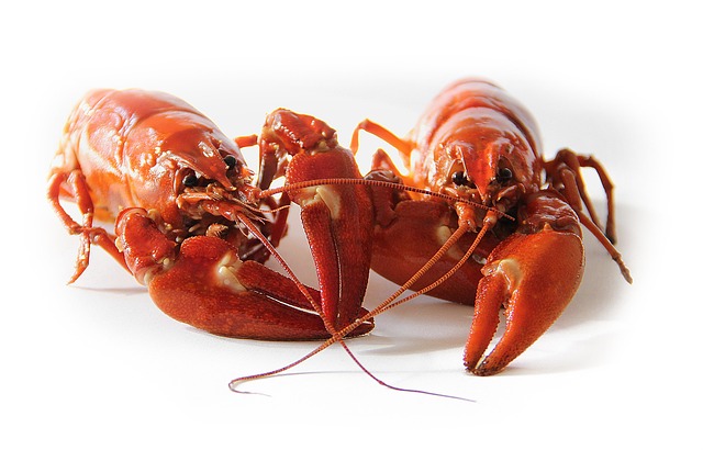 crawfish