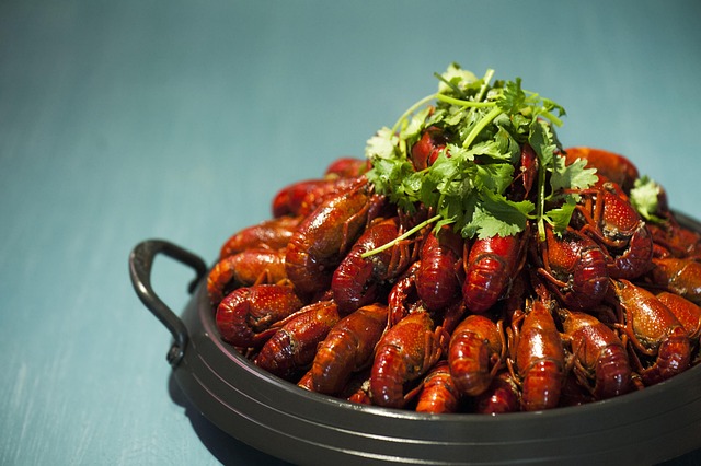 crayfish