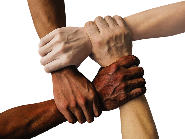 create alliances