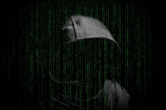 criminal informant