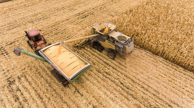 crop production