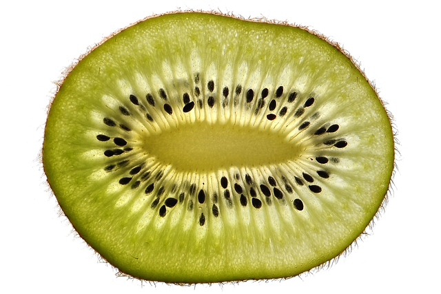 Hình ảnh minh họa ý nghĩa của từ cross-sectional