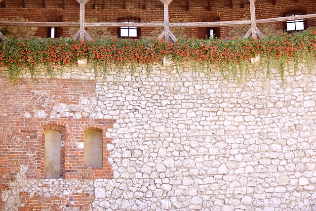 Hình ảnh minh họa ý nghĩa của từ crux