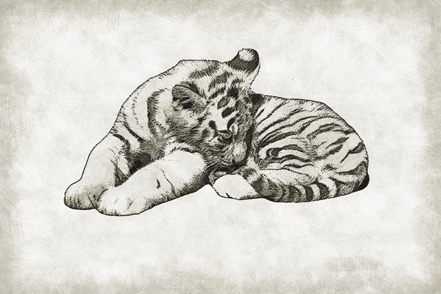 cub