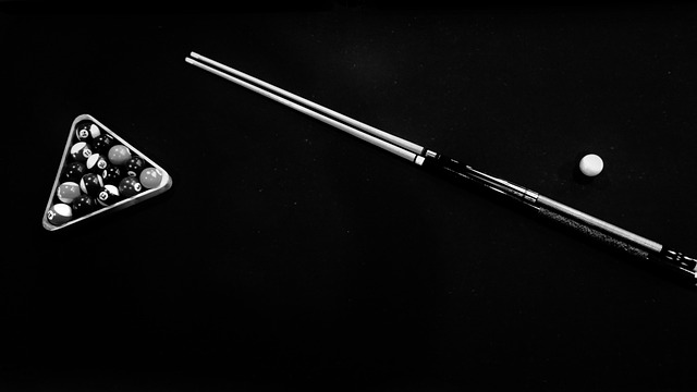 cue stick