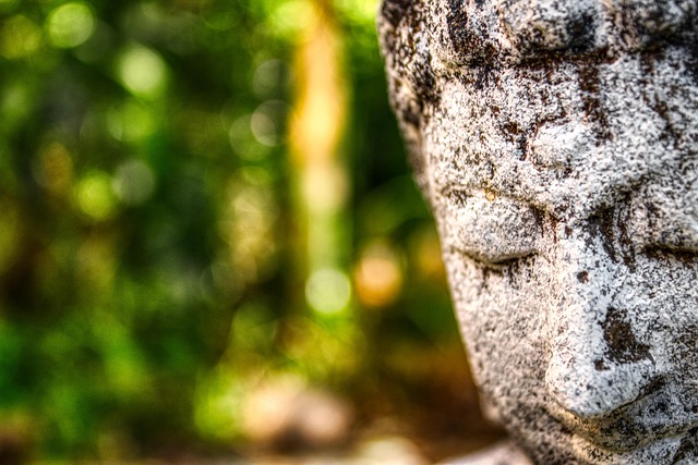 Hình ảnh minh họa ý nghĩa của từ cult