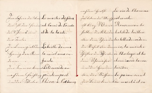 Hình ảnh minh họa ý nghĩa của từ cultural understanding