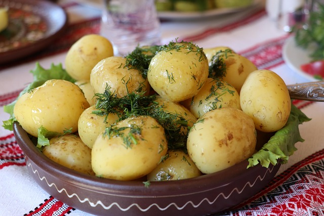 culture dish