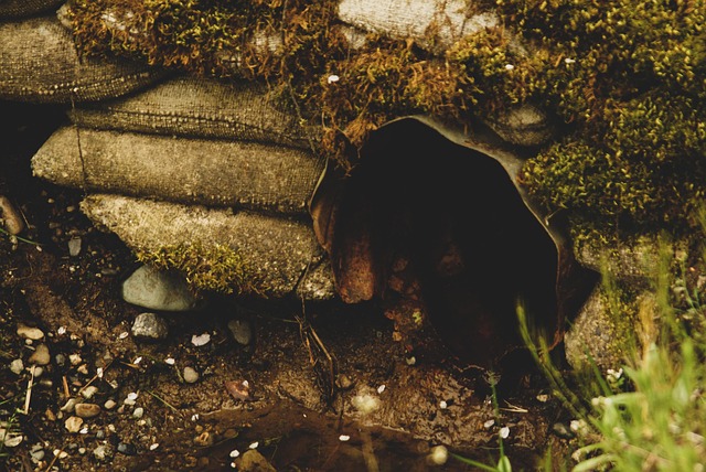 Hình ảnh minh họa ý nghĩa của từ culvert