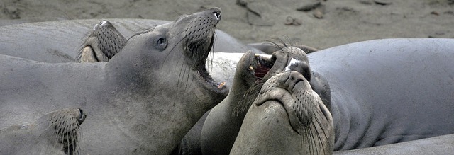 Hình ảnh minh họa ý nghĩa của từ cumbersomeness