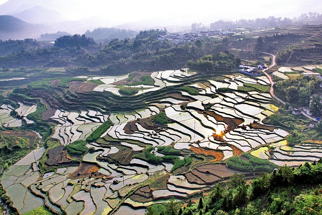 Hình ảnh minh họa ý nghĩa của từ curvaceous