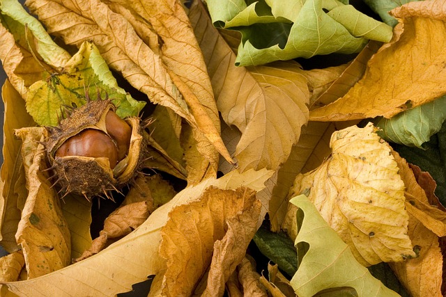 Hình ảnh minh họa ý nghĩa của từ cusp