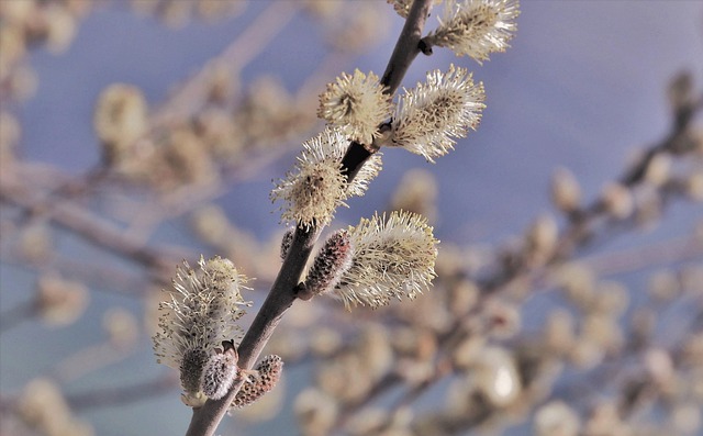 Hình ảnh minh họa ý nghĩa của từ customer base