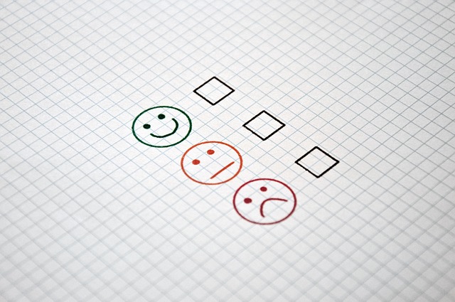 customer reviews