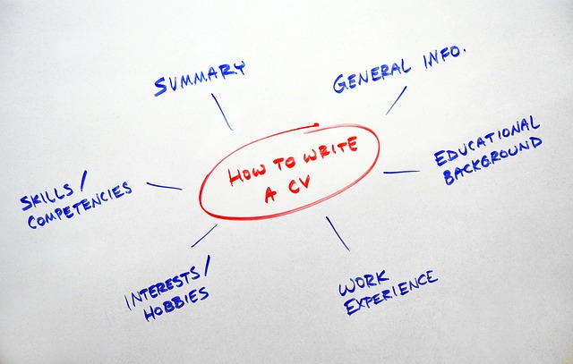 Hình ảnh minh họa ý nghĩa của từ cv (curriculum vitae)