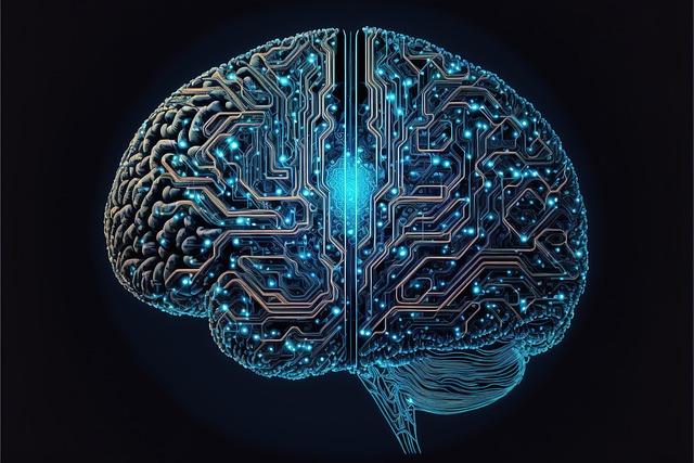 cyber aggression