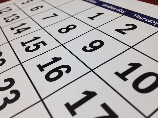 daily schedule