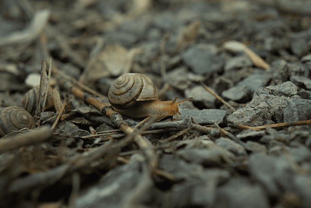 Hình ảnh minh họa ý nghĩa của từ dampness