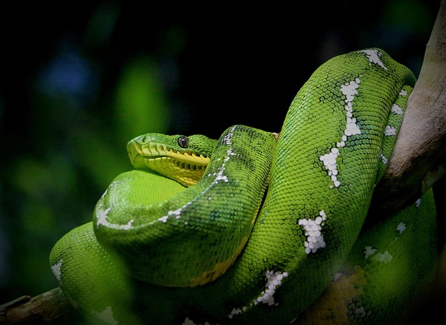 dangerous environment